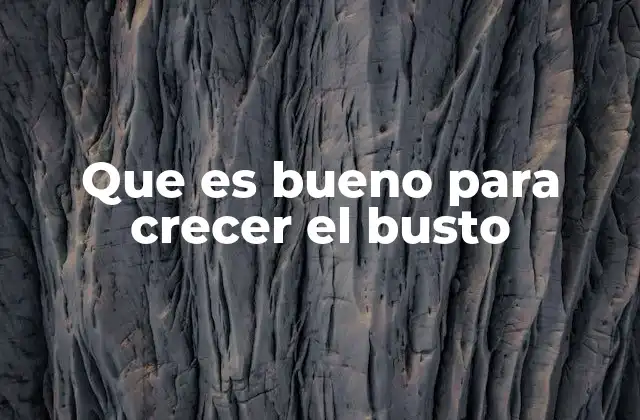 Que es Bueno para Crecer el Busto