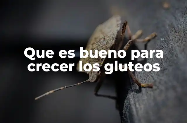 Que es Bueno para Crecer los Gluteos