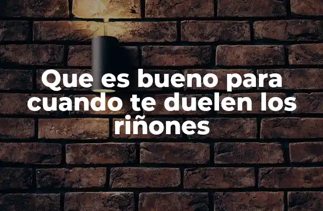 Que es Bueno para Cuando Te Duelen los Riñones