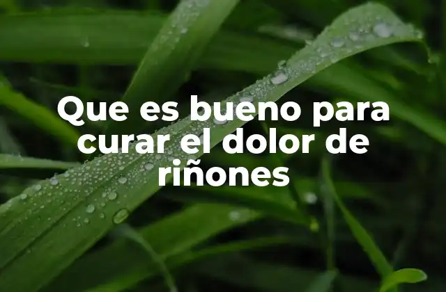 Que es Bueno para Curar el Dolor de Riñones
