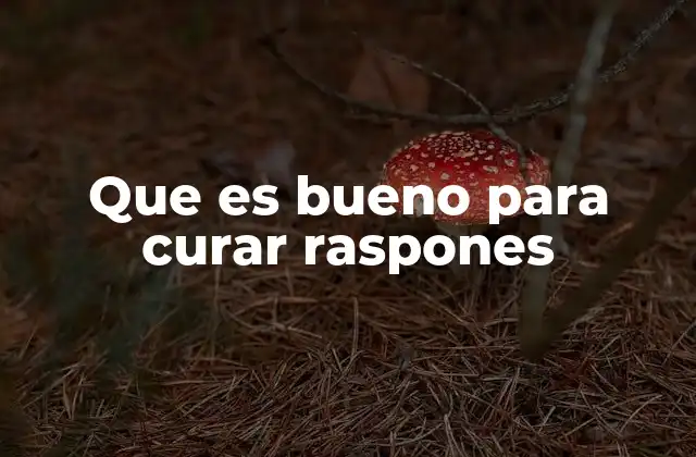 Que es Bueno para Curar Raspones