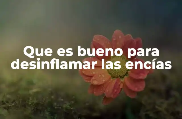 Que es Bueno para Desinflamar las Encías 2 Alternativas naturales para aliviar la inflamación de las encías