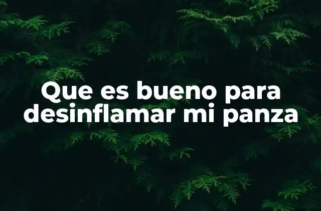 Que es Bueno para Desinflamar Mi Panza