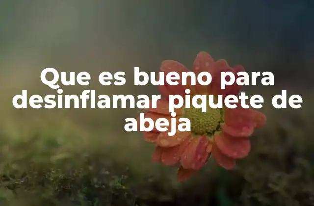 Que es Bueno para Desinflamar Piquete de Abeja