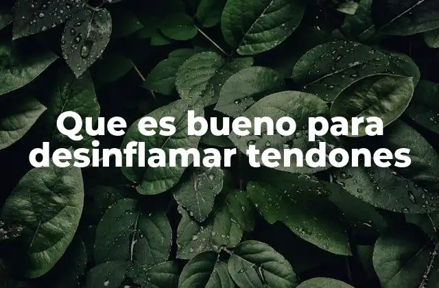 Que es Bueno para Desinflamar Tendones