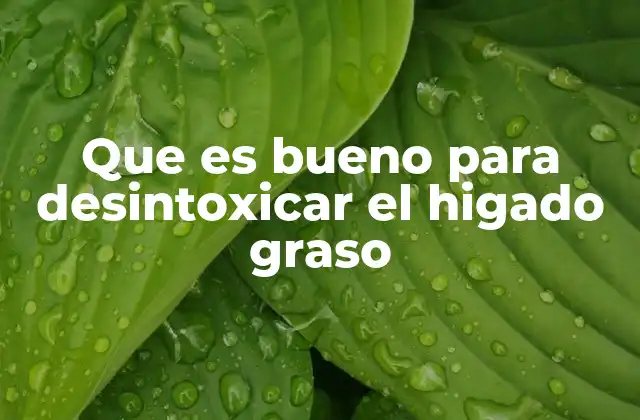 Cómo los hábitos diarios influyen en la salud del hígado