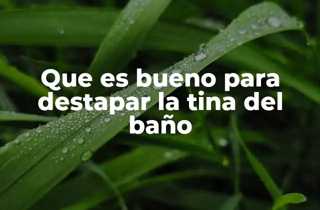 Que es Bueno para Destapar la Tina Del Baño