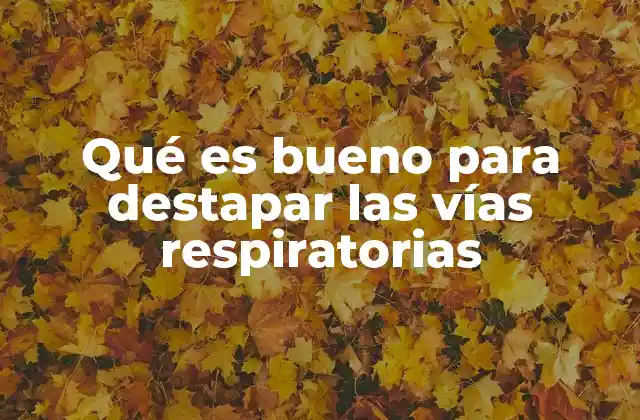 Qué es Bueno para Destapar las Vías Respiratorias