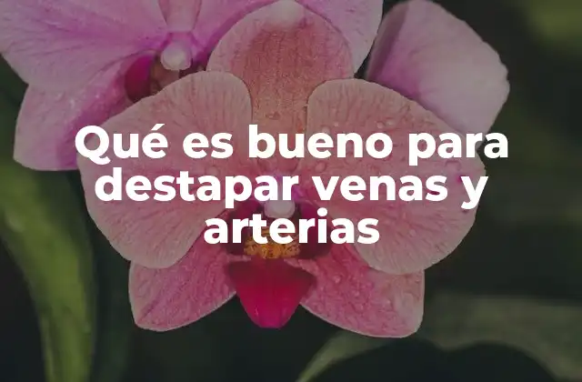 Qué es Bueno para Destapar Venas y Arterias