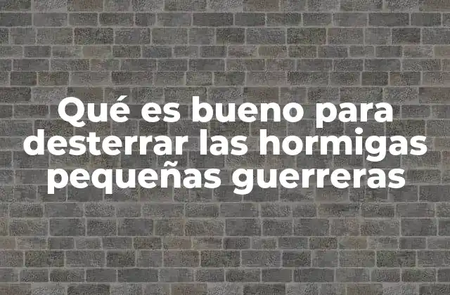 Qué es Bueno para Desterrar las Hormigas Pequeñas Guerreras