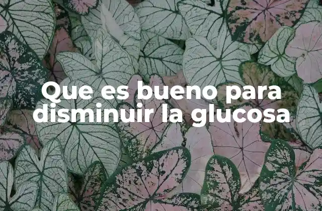 Hábitos diarios que apoyan la reducción de glucosa