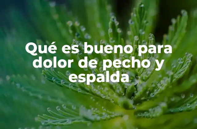 Qué es Bueno para Dolor de Pecho y Espalda