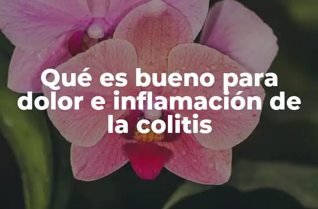 Qué es Bueno para Dolor e Inflamación de la Colitis