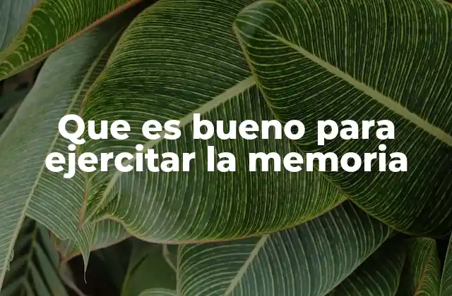 Que es Bueno para Ejercitar la Memoria