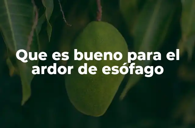 Que es Bueno para el Ardor de Esófago 2 Remedios naturales para aliviar el malestar digestivo