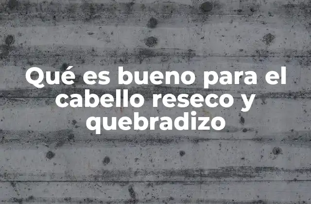 Qué es Bueno para el Cabello Reseco y Quebradizo 2 Cómo identificar el cabello reseco y quebradizo antes de aplicar tratamientos