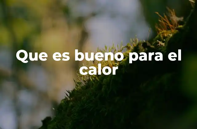 Que es Bueno para el Calor