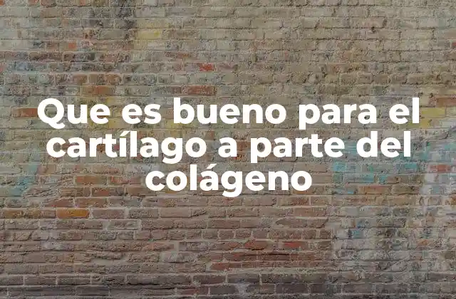 Que es Bueno para el Cartílago a Parte Del Colágeno