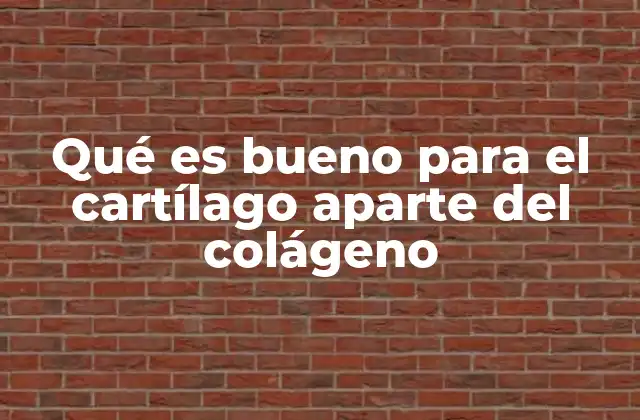 Qué es Bueno para el Cartílago Aparte Del Colágeno 2 Nutrientes clave para la salud articular y el cartílago