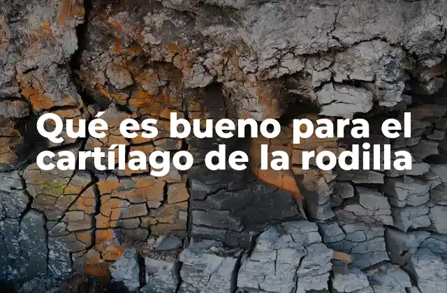 Cómo el estilo de vida influye en la salud del cartílago de la rodilla