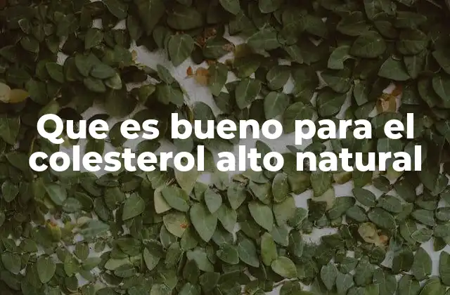 Que es Bueno para el Colesterol Alto Natural