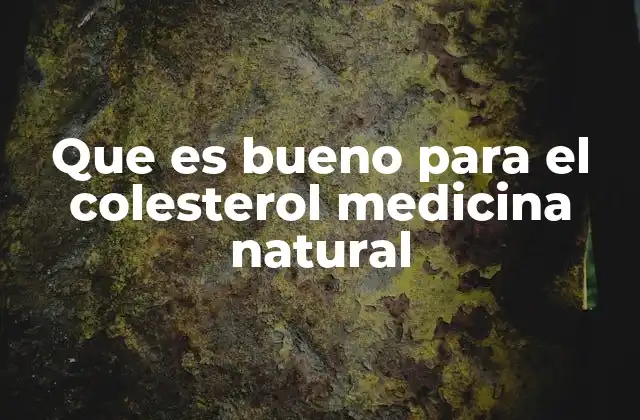 Que es Bueno para el Colesterol Medicina Natural
