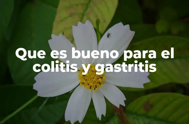 Que es Bueno para el Colitis y Gastritis