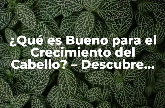 ¿qué es Bueno para el Crecimiento Del Cabello? – Descubre los Secretos