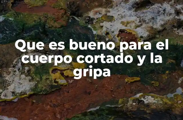 Que es Bueno para el Cuerpo Cortado y la Gripa