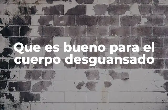 Que es Bueno para el Cuerpo Desguansado