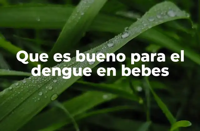 Que es Bueno para el Dengue en Bebes