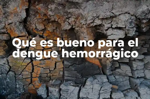 Qué es Bueno para el Dengue Hemorrágico 2 Remedios caseros y apoyos naturales para aliviar el dengue