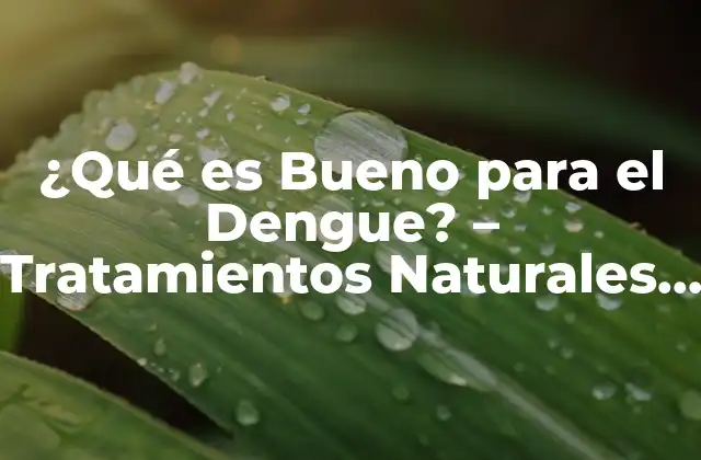 ¿qué es Bueno para el Dengue? – Tratamientos Naturales y Remedios Caseros