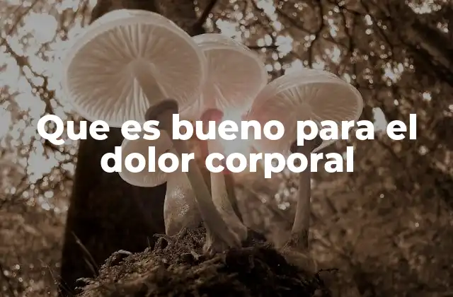 Que es Bueno para el Dolor Corporal