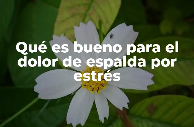 Qué es Bueno para el Dolor de Espalda por Estrés