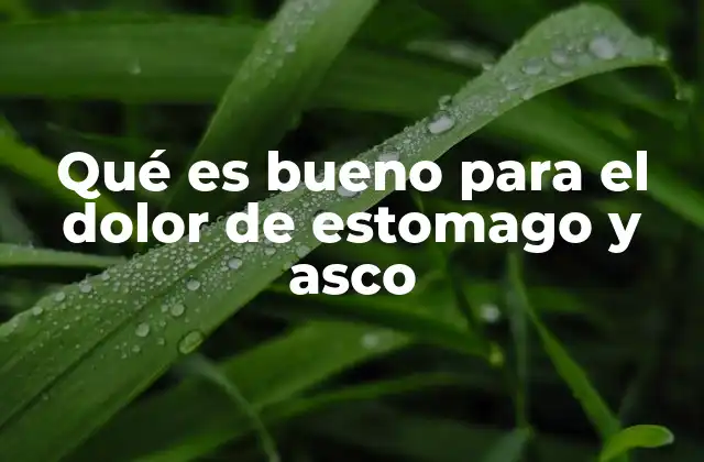 Qué es Bueno para el Dolor de Estomago y Asco