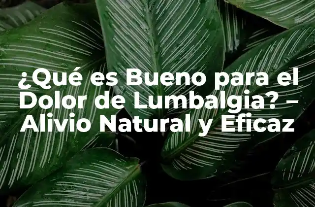 ¿qué es Bueno para el Dolor de Lumbalgia? – Alivio Natural y Eficaz
