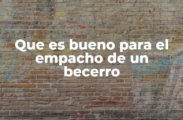 Que es Bueno para el Empacho de un Becerro