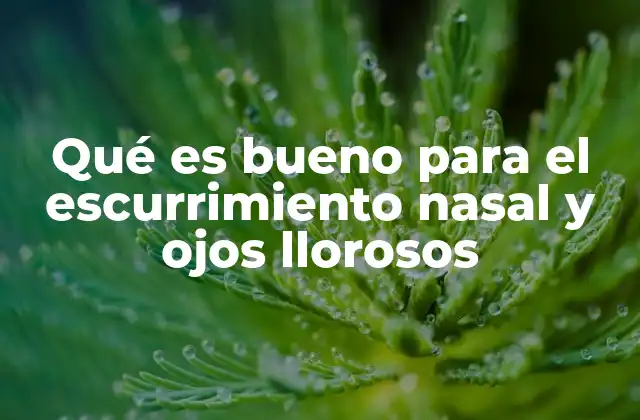 Qué es Bueno para el Escurrimiento Nasal y Ojos Llorosos
