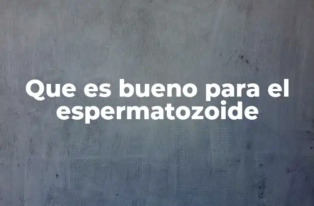Que es Bueno para el Espermatozoide