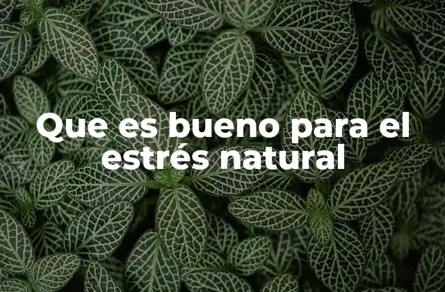 Que es Bueno para el Estrés Natural