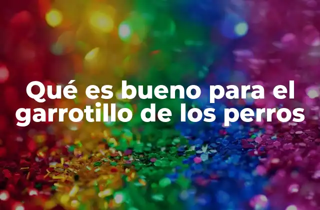 Qué es Bueno para el Garrotillo de los Perros 2 Cuidados esenciales para el área del garrotillo en perros