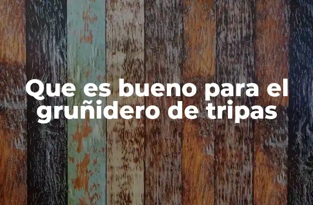 Que es Bueno para el Gruñidero de Tripas