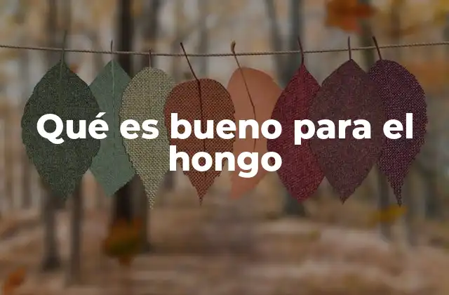 Qué es Bueno para el Hongo