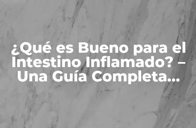 ¿qué es Bueno para el Intestino Inflamado? – una Guía Completa para un Intestino Saludable
