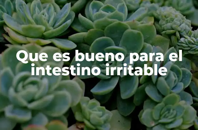 Que es Bueno para el Intestino Irritable