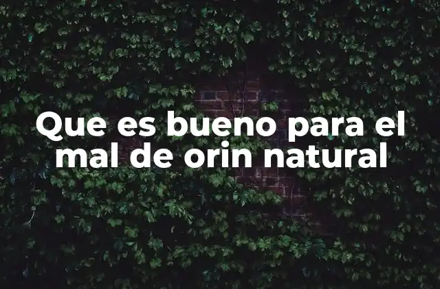 Que es Bueno para el Mal de Orin Natural 2 Cómo la dieta puede influir en la salud urinaria