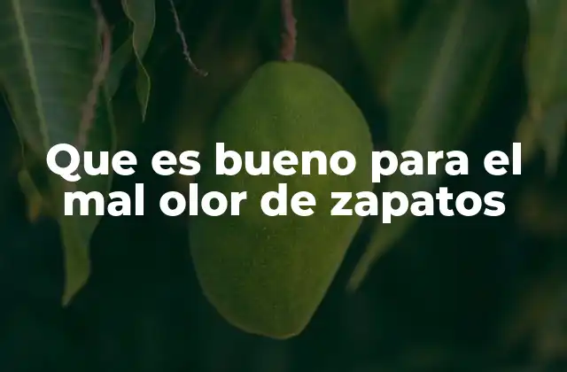 Que es Bueno para el Mal Olor de Zapatos