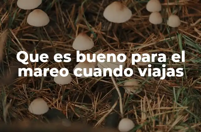 Que es Bueno para el Mareo Cuando Viajas