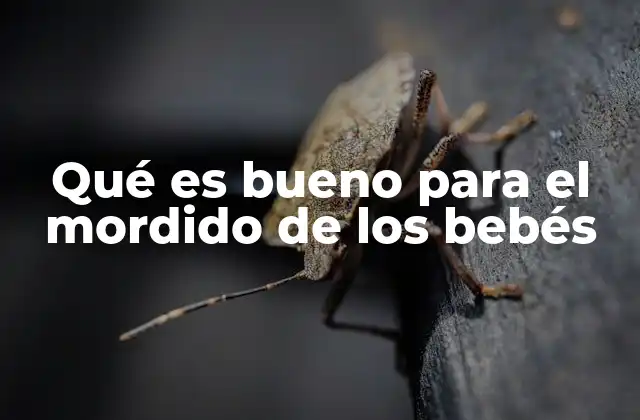 Qué es Bueno para el Mordido de los Bebés